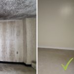 Professional Mold and Asbestos Removal Services in Ontario