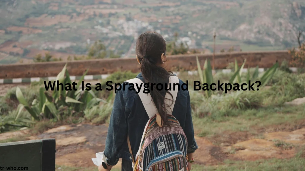 What Is a Sprayground Backpack?