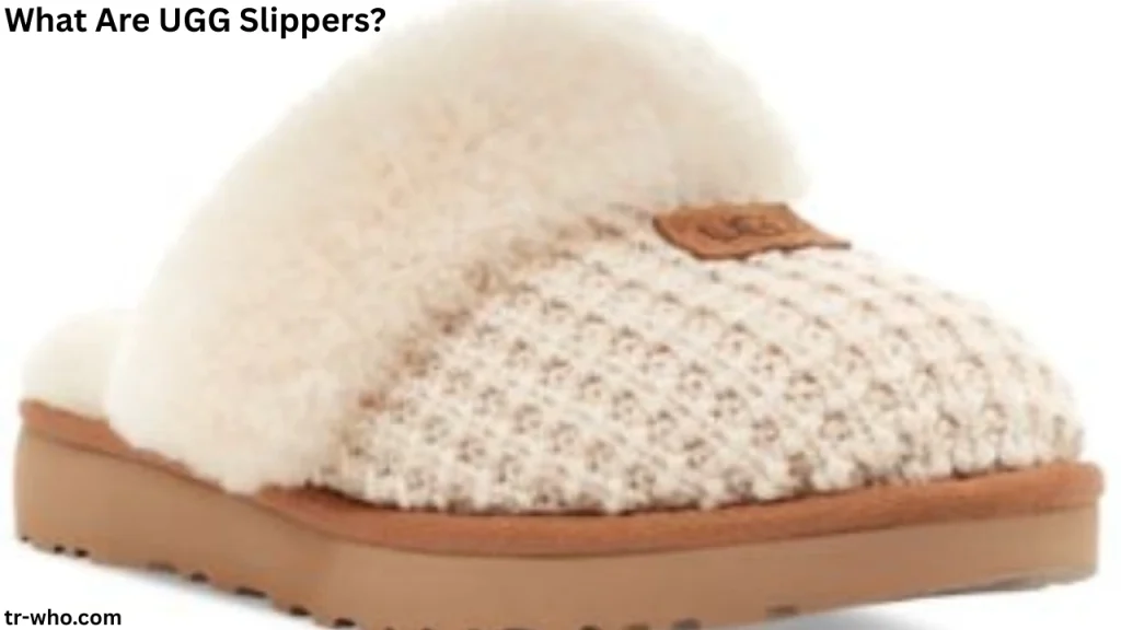 What Are UGG Slippers?