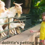 debbie dolittle's petting zoo
